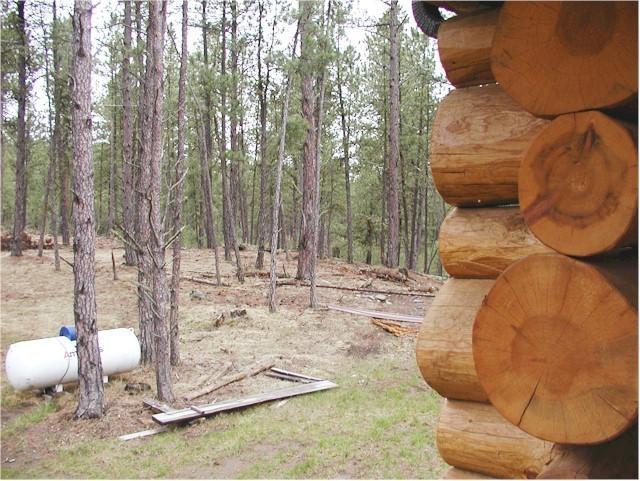 Trails End Lodge Custer Rom bilde